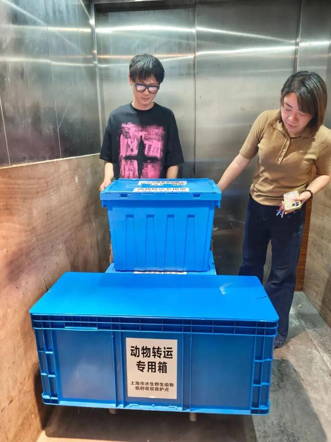 on9star:“鳄了么”上门?上海16岁男生网购“迷你宠物”,被家人暂存在消防通道,一觉醒来,半米长的鳄鱼不见了